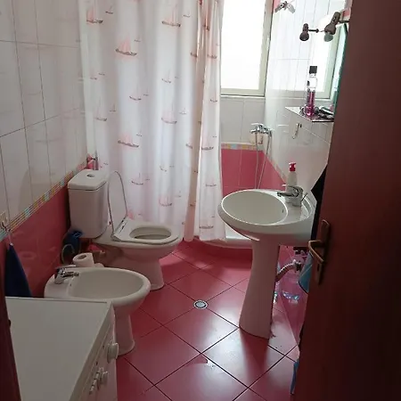 Zanzi Apartament Tirana